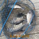 독도바다낚시터 이미지