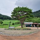 운곡생태습지길 4코스 이미지