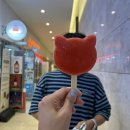 스카이노래방 | 강릉 [스카이베이호텔경포] 부대시설 스카이노래방 후기 / 룸서비스이용