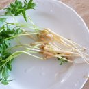 달성영농조합법인 이미지