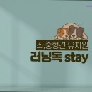 호텔 독스 | [김포 호텔/가격/후기] 러닝독스테이 애견유치원 애견호텔 김포 애견호텔, 신뢰할 수 있는 서비스