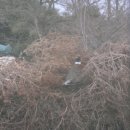 덕일슈퍼 이미지