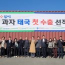 법인청원 이미지