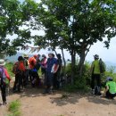 산울림 카카오 검색결과