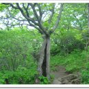 소백산가는길민박 이미지