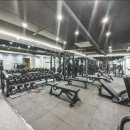 원앤원 짐 이미지