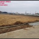 대산면916 이미지