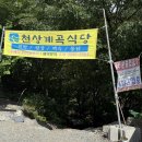 근교/계곡］천상계곡식당, 울산 근교 평상대여가능한계곡 평상명당정보있음 닭백숙배달가능한곳 다녀온후기