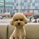 아인스동물병원 이미지