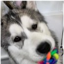 살롱드 베베 이미지