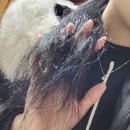 리안헤어 작전역점 | 작전동 미용실 리안헤어 작전역점 클리닉 후기