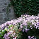 풍경세탁소 이미지