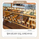 브레드바이브