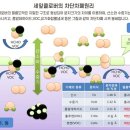 하임약품 이미지