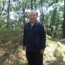 솟을 이미지