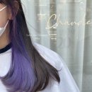 앨리의씨크릿