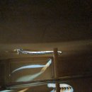 도선고등학교 이미지