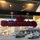 내 마음에 든 안경 | 안산 안경점 안경집 앤365렌즈 구매후기｜레이벤 안경·선글라스 종류 다양