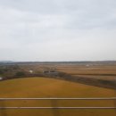 군산푸드