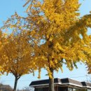 수촌초등학교 이미지