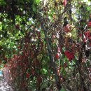 이상윤농장 이미지