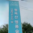 봉화.청옥산 우중산행트레킹ᆢ 이미지