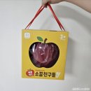 펀박스 | [내돈내산] 킨더픽 킨더펀 애플박스 소꿉친구들 구매후기❤️