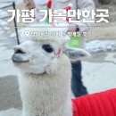 종일목장 | 가평 가볼만한곳 양떼목장 아이랑 놀거리 눈썰매장 가평 카페