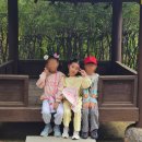 숲놀이지도사 | 일산호수공원 숲체험 아이고고 숲다움 자연놀이 후기 할인팁