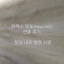알토호텔 | [페인트 시공] 신규 개원 내과, 파렉스 알토(Parex Alto) 아트월 시공 후기
