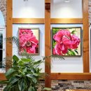 영흥도 갤러리 이미지