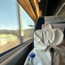 도도한 낙곱새 | 결국 부산 1박 2일 여행 일지 :: 초량해 칼국수 | 송정해수욕장 | 우호적관심 | 광안리 개미집 | 밀락회...