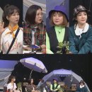 스타6 스타뉴스