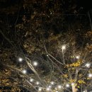 고은집펜션독채 이미지