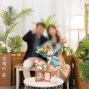 잘해줄게 | 비밀리에 준비하느라 고생한 오빠 내가 더 많이 잘해줄게♥ - 프로포즈 방명록 후기