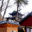 마곡사1 이미지