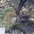 빗접바위 이미지