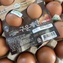 아침대용 맥반석 계란 원천오복 구운계란 후기