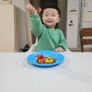 행복나눔용달 브런치