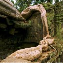 캄보디아 여행기-7.따 프롬 사원 이미지