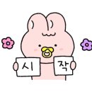 돌핀스 모텔 이미지