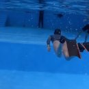 설리바다낚시터 이미지