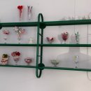 갑천역 1번출구 | 대전강아지케이크 월평동 페트윈 예약 픽업 2구컵케이크 후기