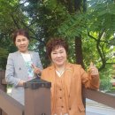 인셀덤열정 이미지
