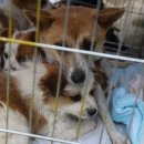 연민농장 이미지