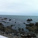 동해참전복 이미지