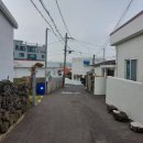 조천리금대 이미지