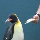 행복수족관 이미지