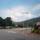 레드폭스민박