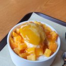 로또 동전노래연습장 이미지